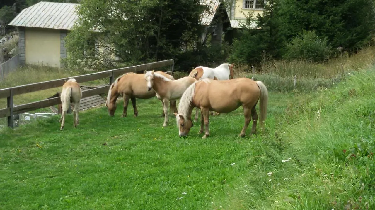 מלון Saviore dell'Adamello Rifugio Stella Alpina 0*,